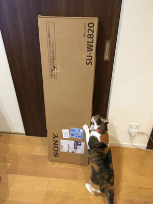 nyanko-2526.jpg