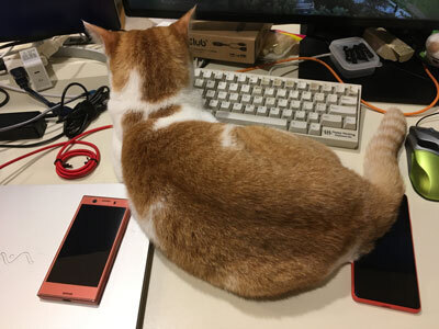 xperia10iii-202106.jpg